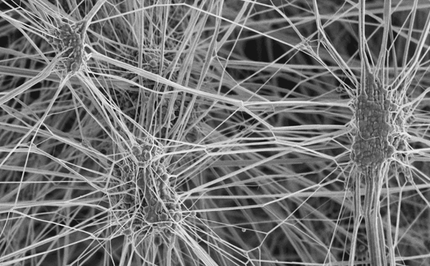 How Expanded PTFE Sheet Is Made