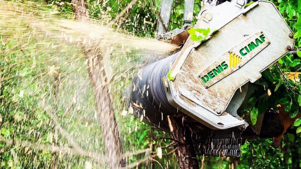 Expert Tips for Proper Forestry Mulcher Teeth Fitting on Denis Cimaf Machines